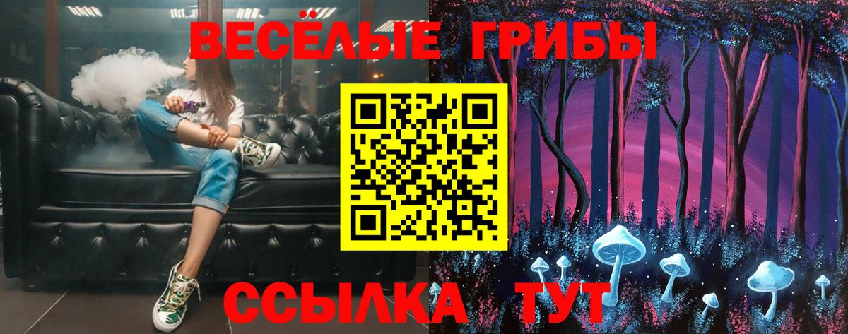 Галлюциногенные грибы Psilocybe  Вход с VPN  Томск 