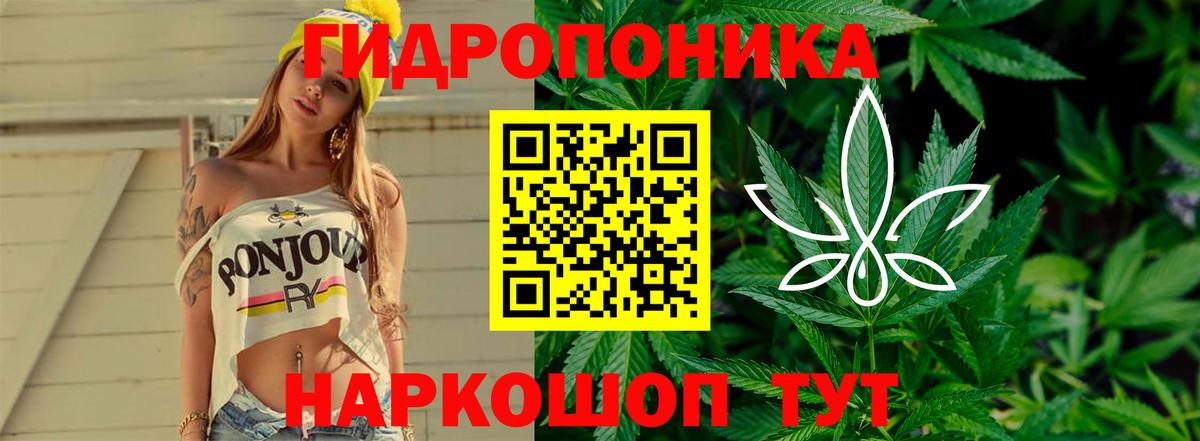 Бошки Шишки марихуана Томск